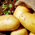 Come cuocere le patate al microonde: la guida completa