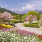 Design con le piante: conoscerle per creare il giardino adatto