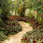 Giardino ed esterno: guida ai materiali da rivestimento e schermature