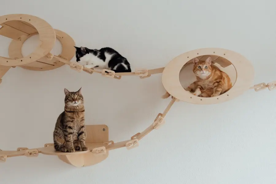 Pet Design: comfort e stile in casa per rendere felici i nostri animali