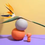 Piante indoor: 5 tipologie di tendenza per il 2022