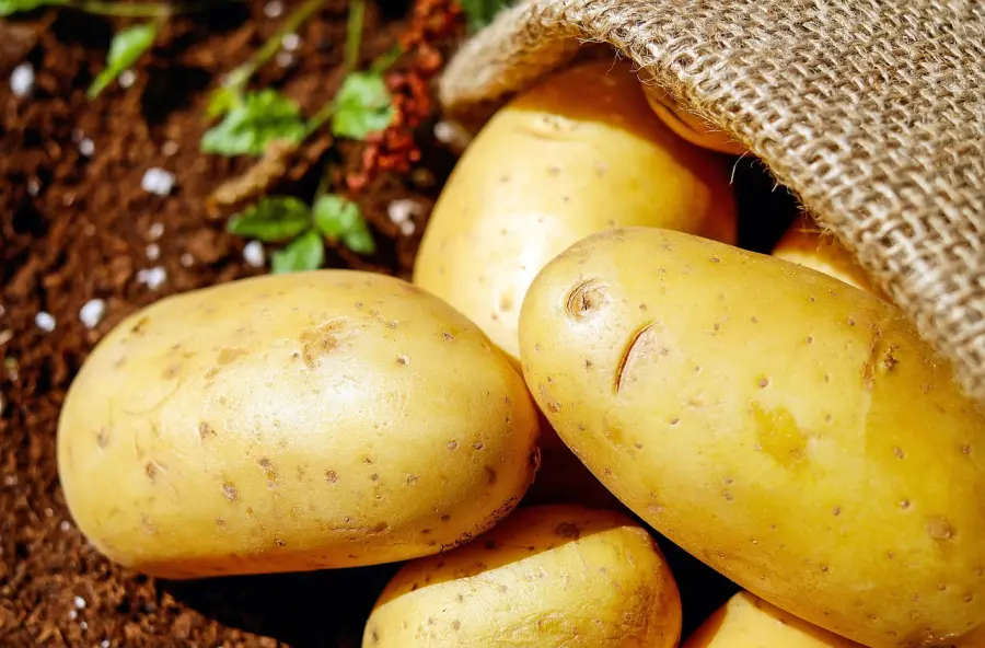 Come cuocere le patate al microonde: la guida completa