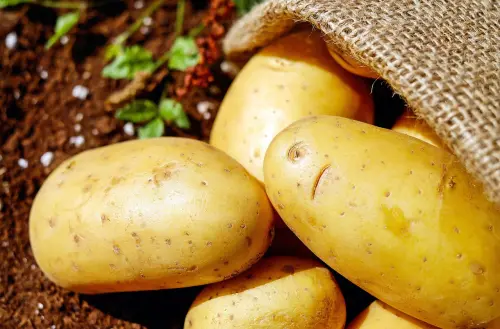 Come cuocere le patate al microonde: la guida completa