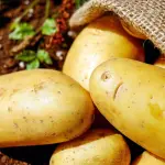 Come cuocere le patate al microonde: la guida completa