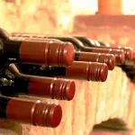 Degustazione di vini: passa tutto attraverso i sensi
