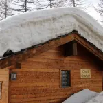 Come organizzare una casa nel bosco