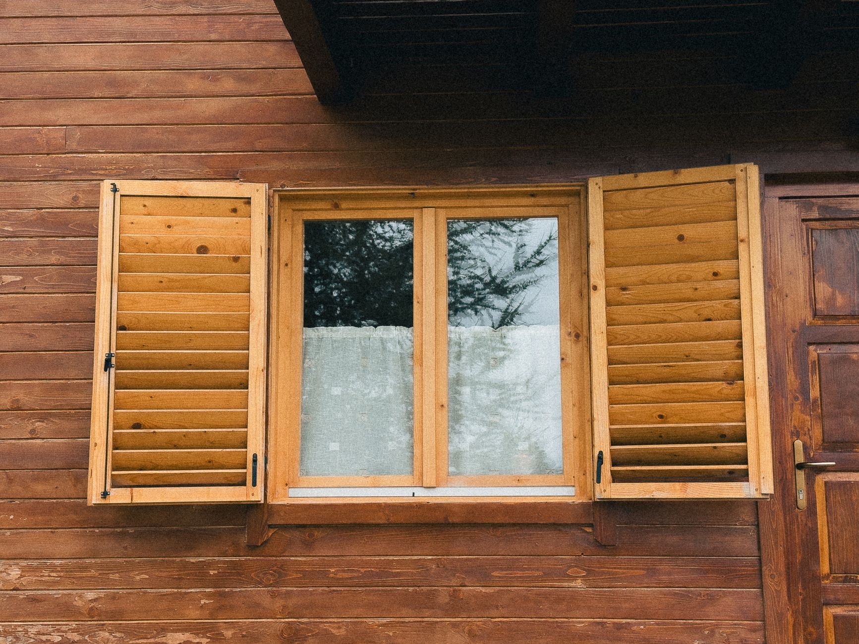 Tipi di legno per l’arredamento: caratteristiche e utilizzi di ogni essenza