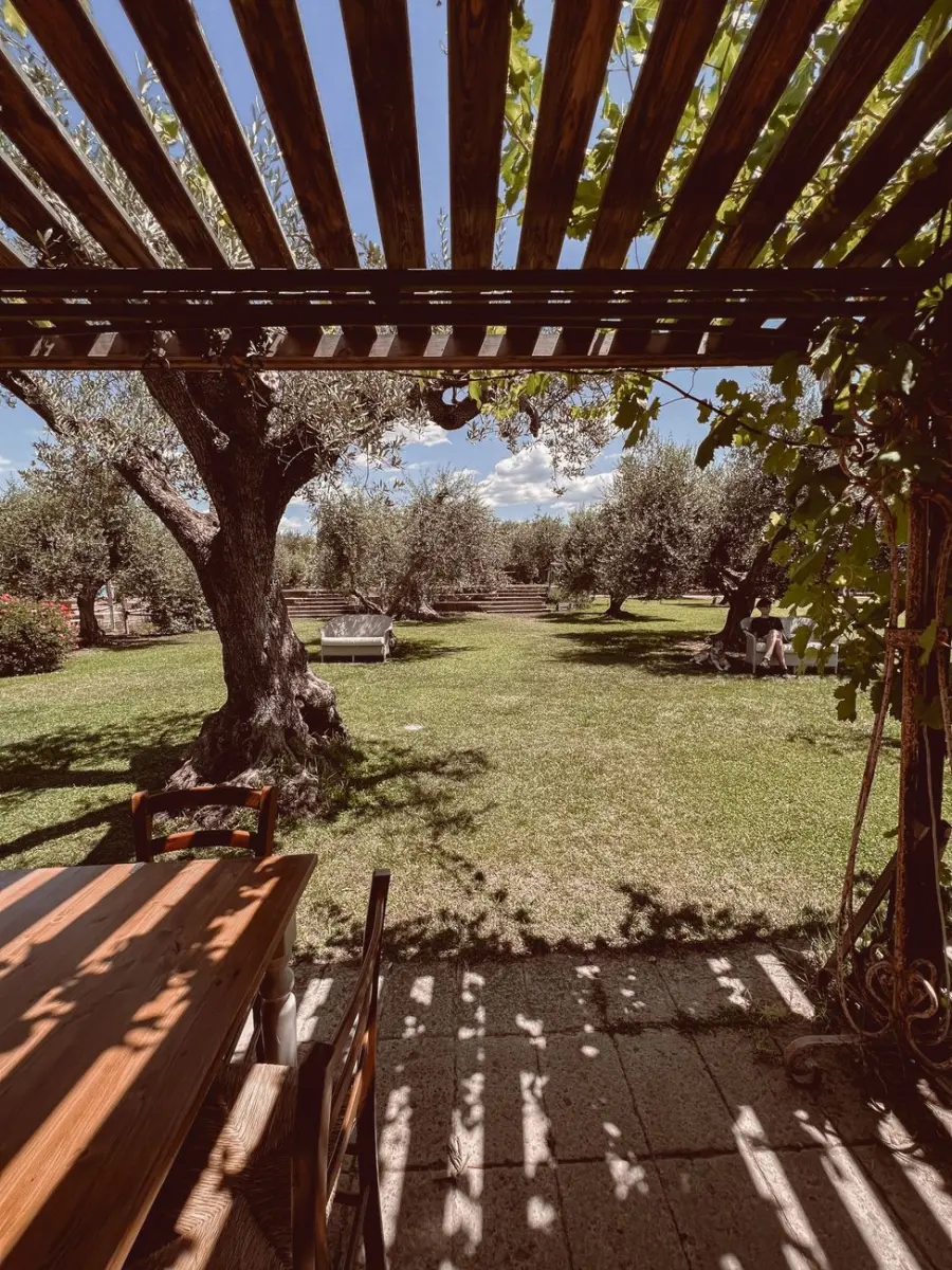 Progetto il giardino di una villetta: guida alla pianificazione