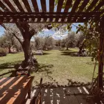 Progetto il giardino di una villetta: guida alla pianificazione