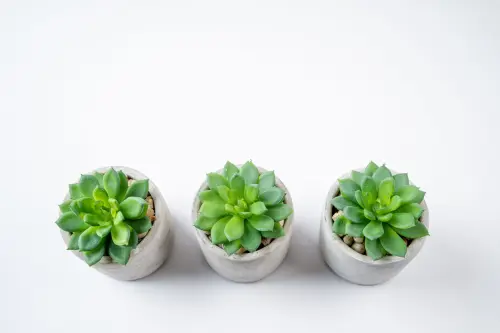 Giardini Moderni Minimal: Principi di Progettazione