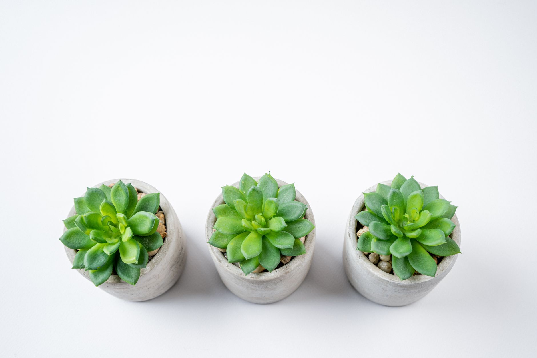 Giardini Moderni Minimal: Principi di Progettazione