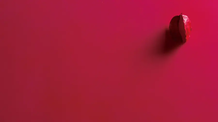 Colori ciclamino in casa: abbinamenti e idee