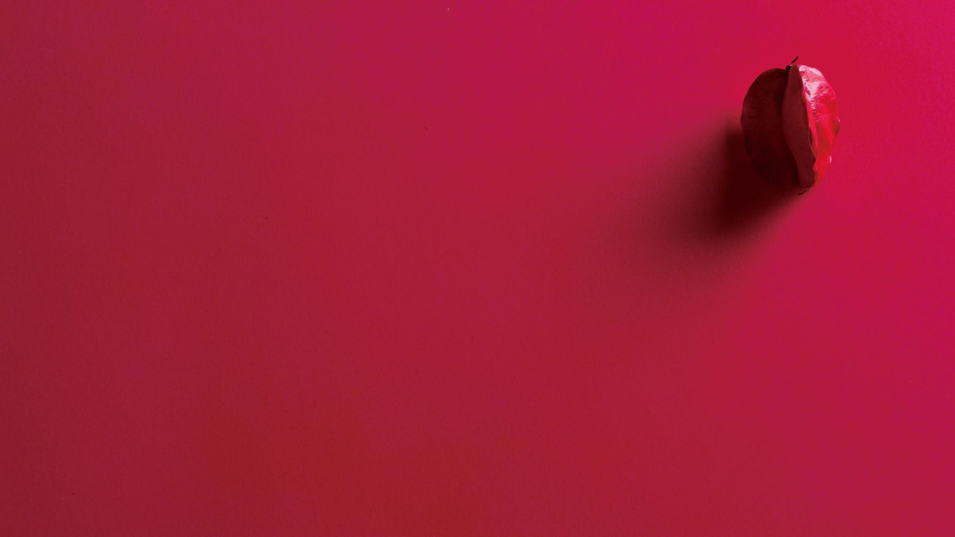 Colori ciclamino in casa: abbinamenti e idee