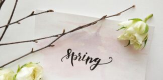 primavera casa