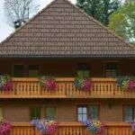 Fiori da piantare sul balcone: armonia di colori, stagioni e luce in pochi metri quadrati